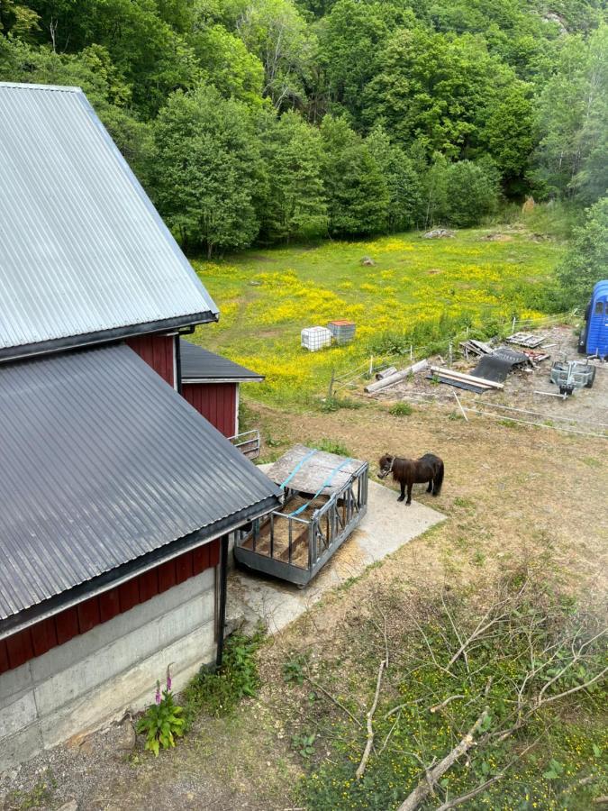 Bjorkely Gard Rasvag Exterior foto